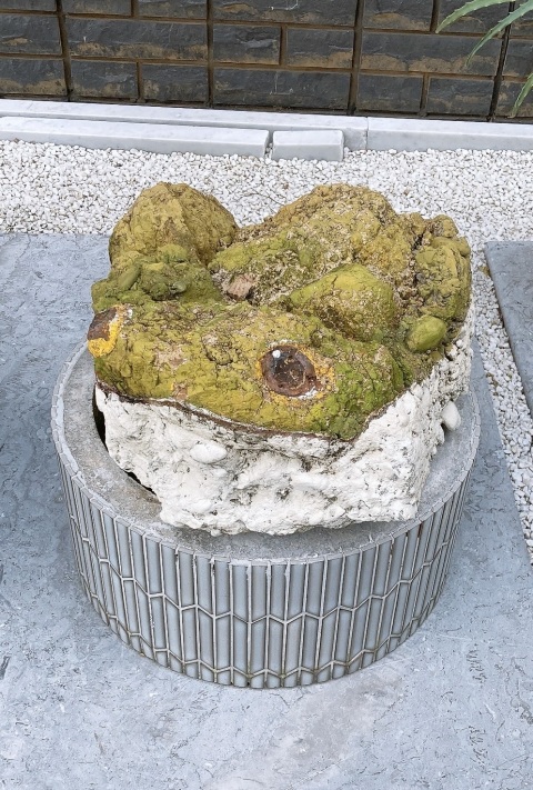 写メ