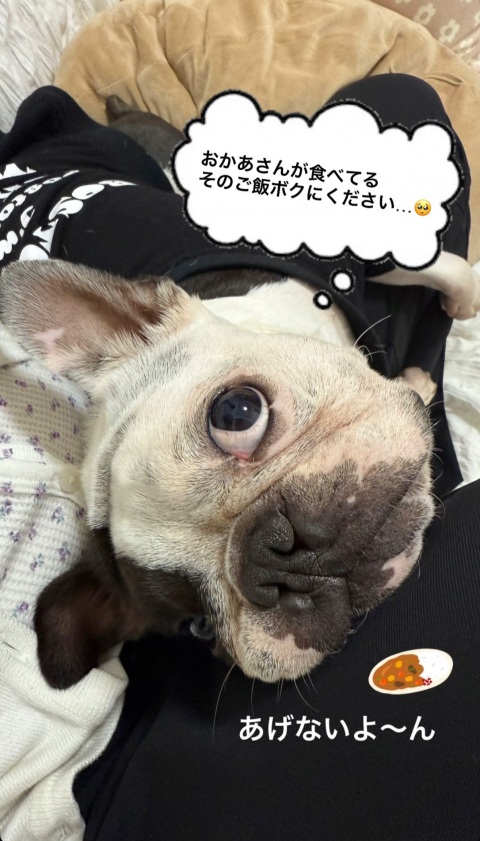 写メ