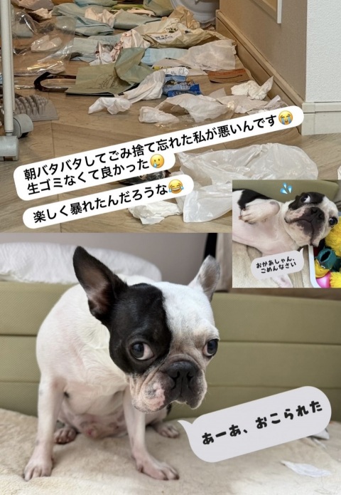 写メ