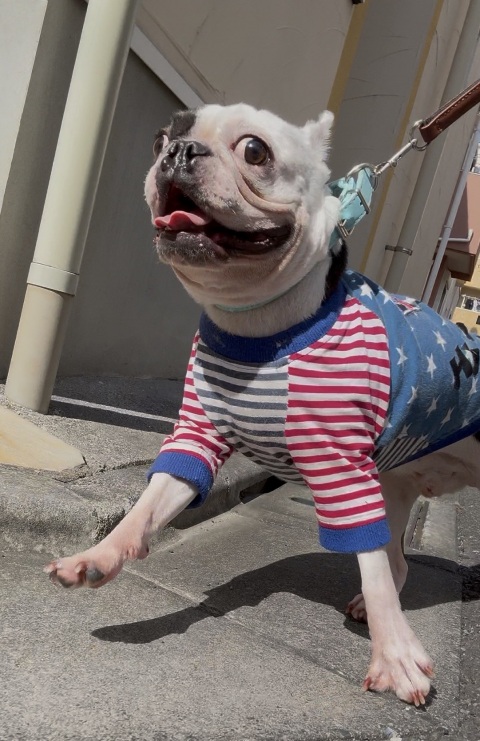 写メ