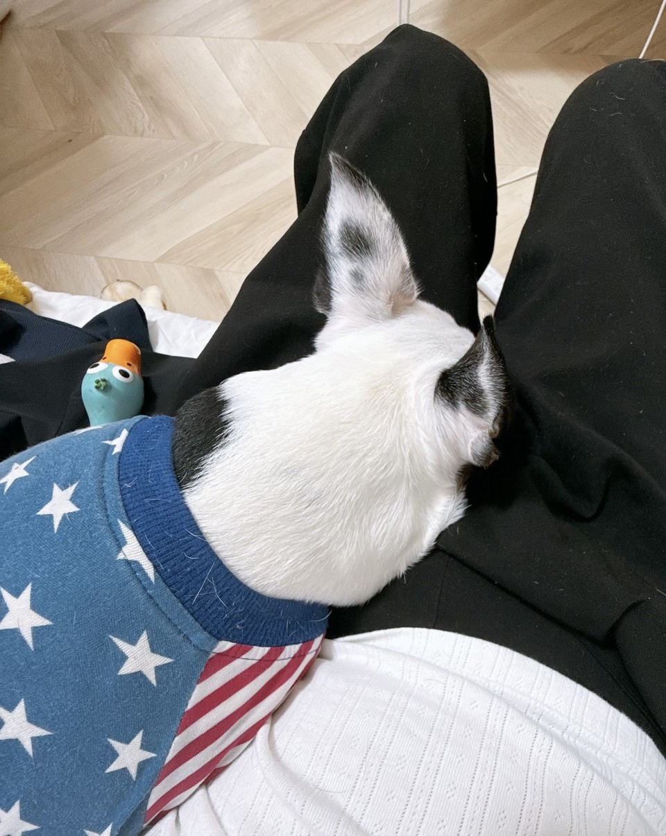 アップロード画像