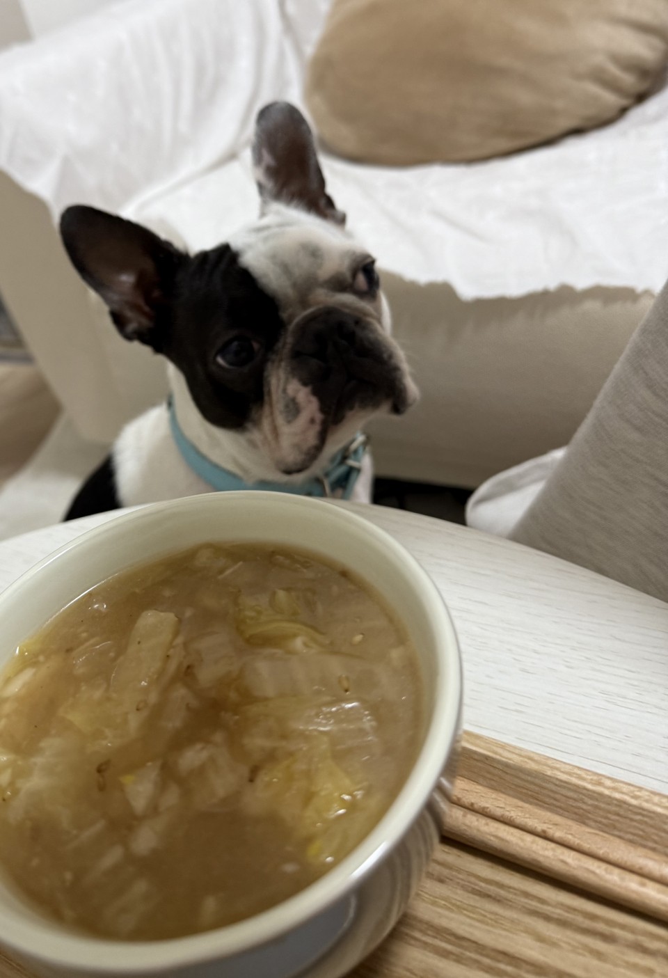 アップロード画像