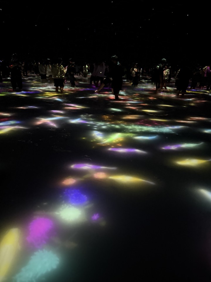 アップロード画像