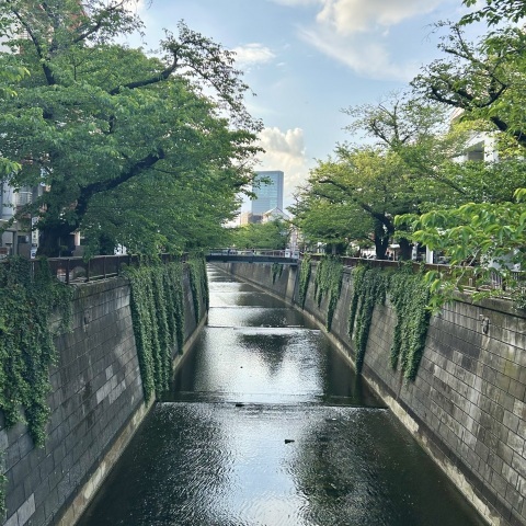 写メ