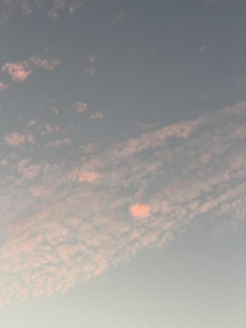 写メ