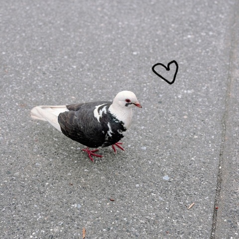 写メ