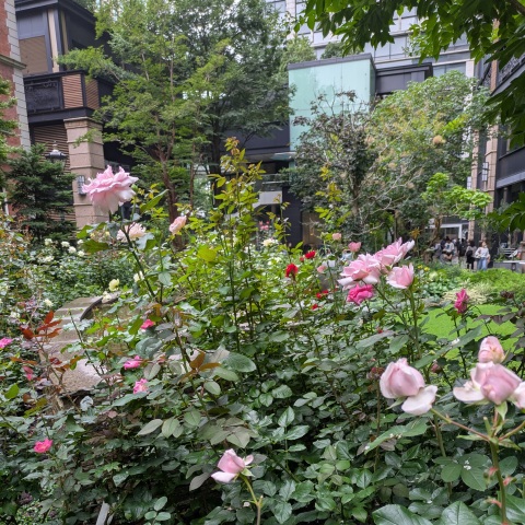 写メ
