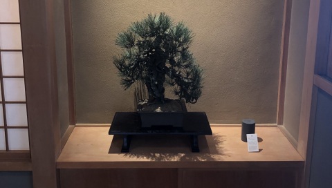 写メ