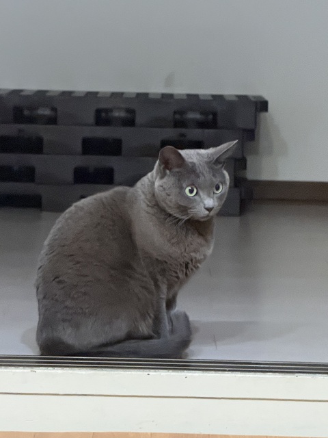 写メ