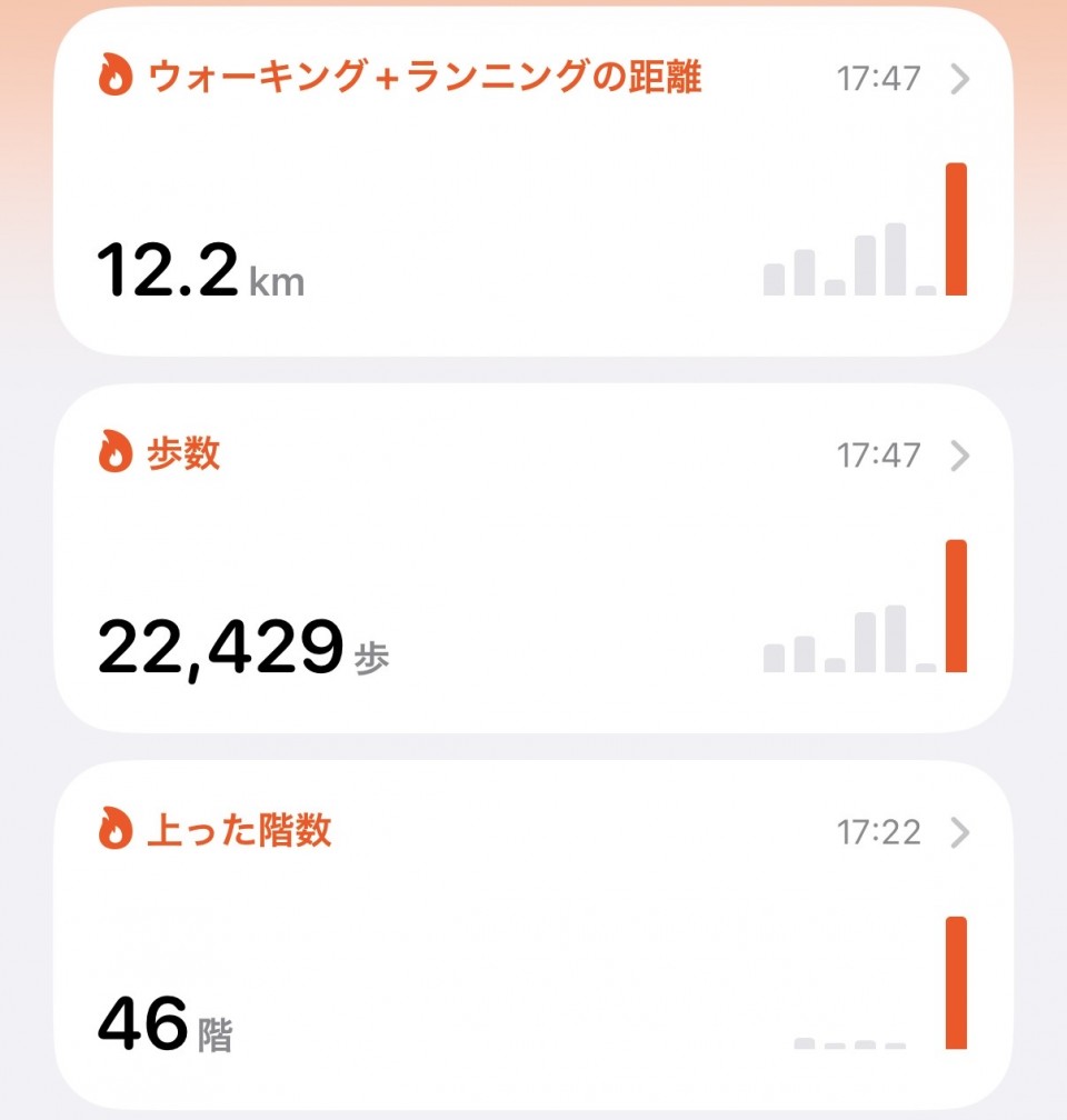 アップロード画像