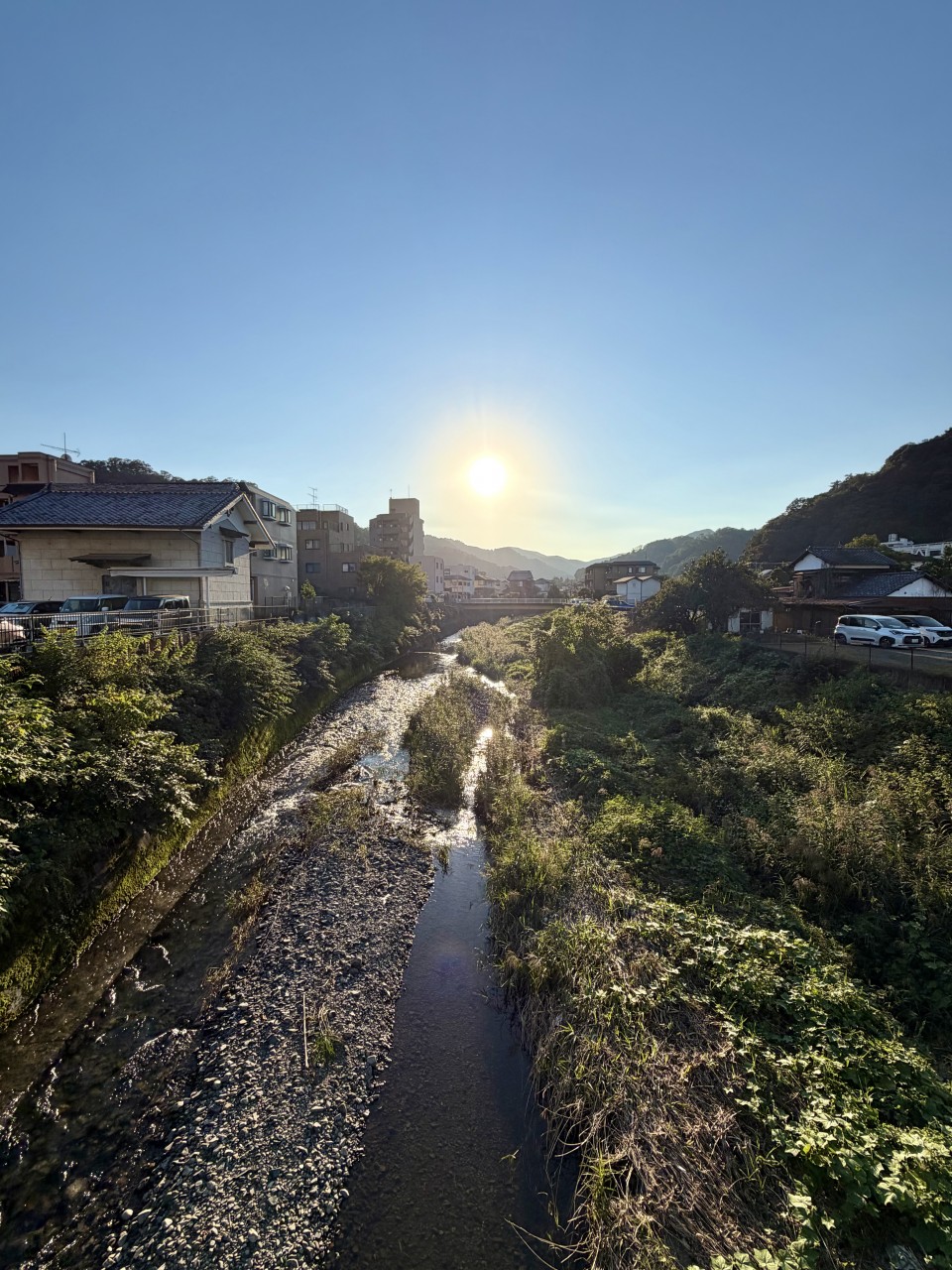 アップロード画像