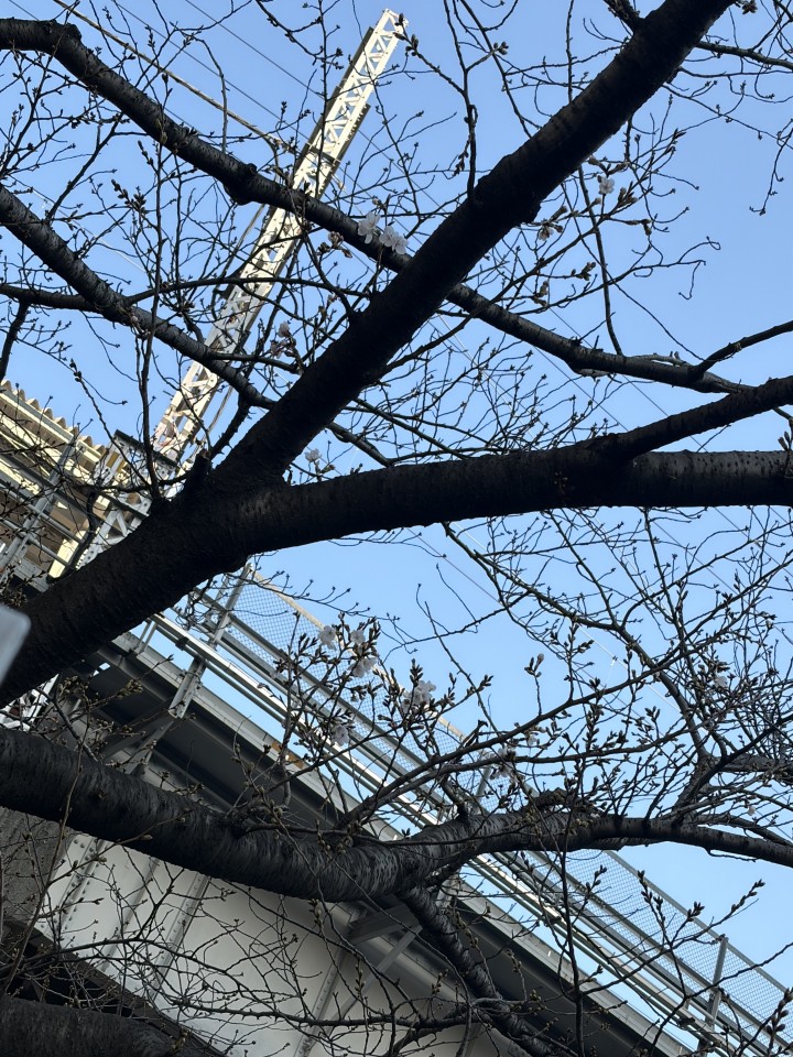 アップロード画像