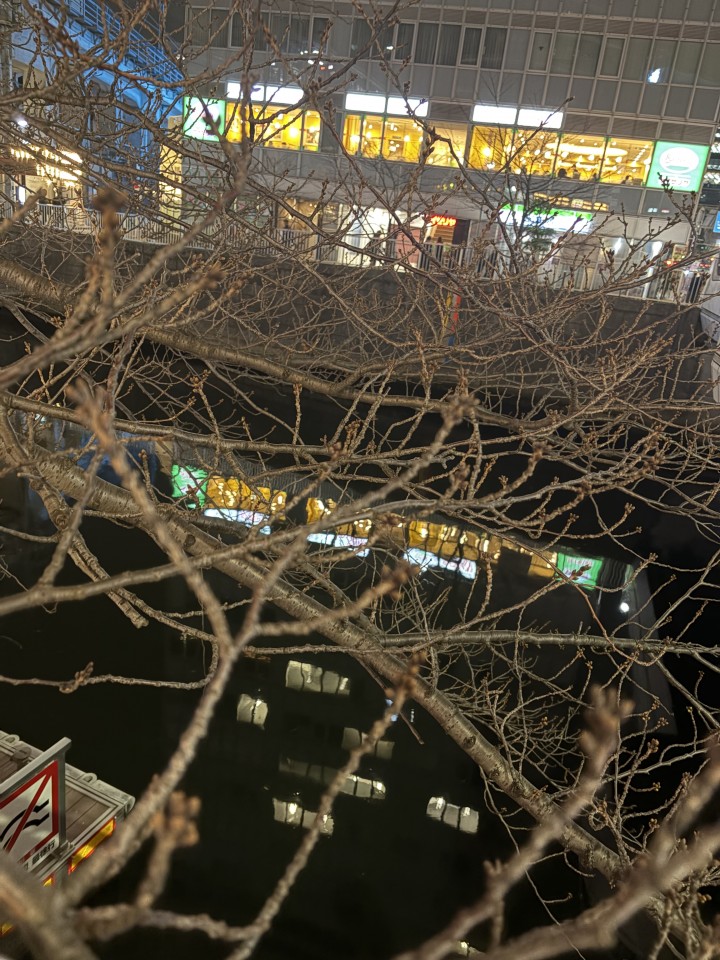 アップロード画像