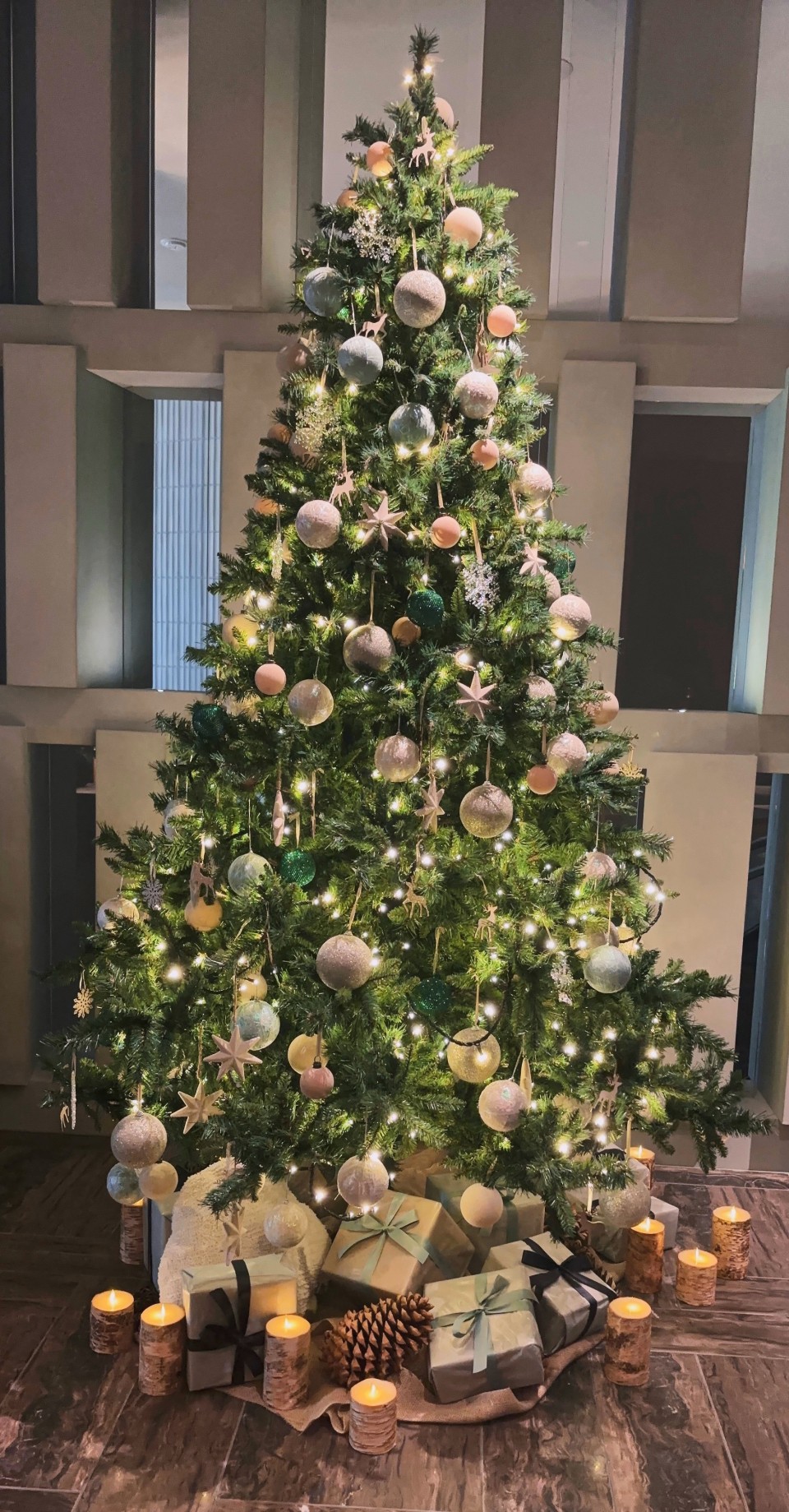 アップロード画像