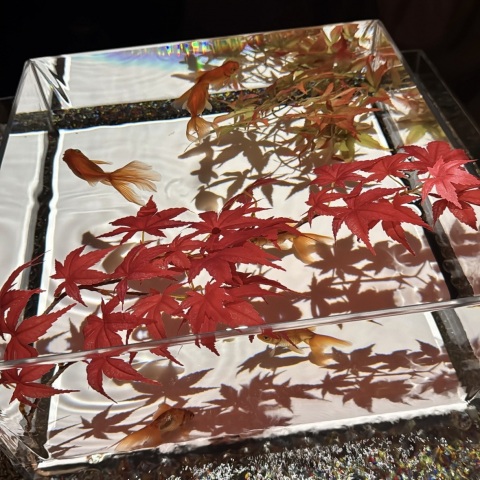 写メ