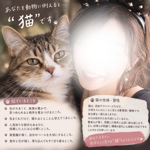 写メ